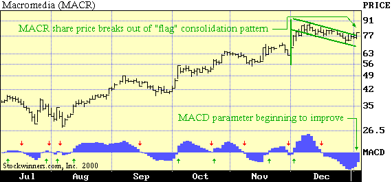 Flag Formation on MACR